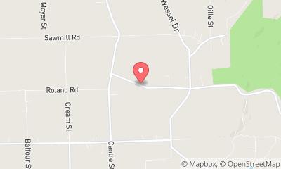 map, Nick Petrucci PAINTING